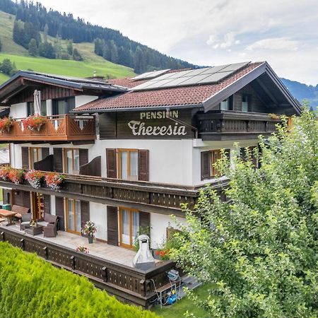 Pension Theresia Dorfgastein Ngoại thất bức ảnh